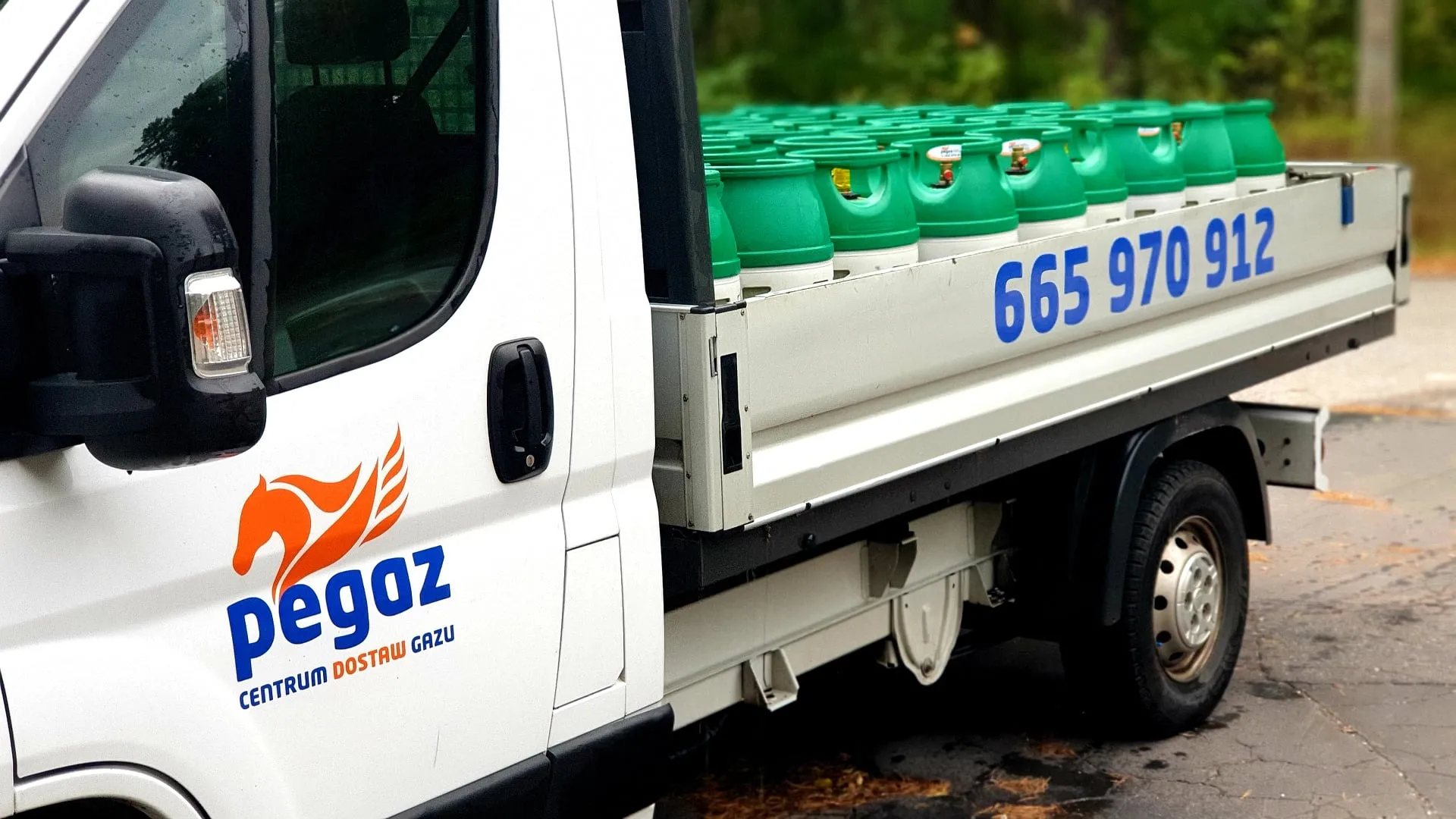 Flota dostawcza Pegaz Auto